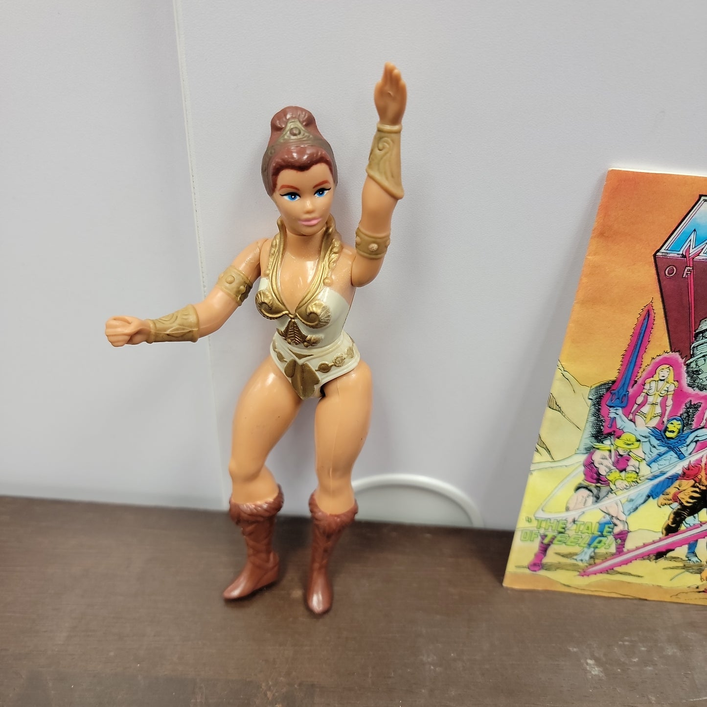 Masters of the Universe Teela
